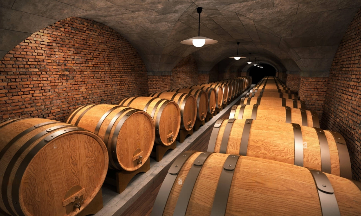 Bodegas de Oporto